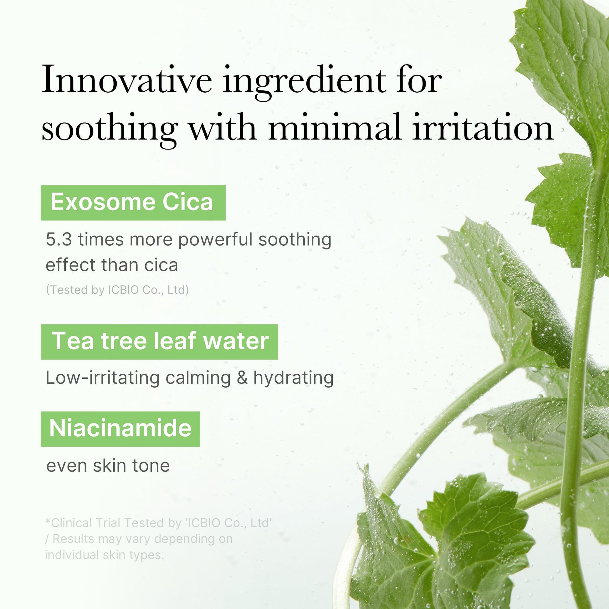 exosome-cica-calming-toner-pads-b5 03_d73c7e58-fe02-42b9-8dfe-6db8bcfc4a9d.jpg