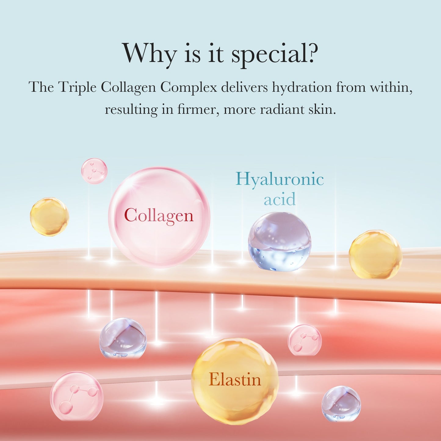 triple-collagen-cream-h3 04_8e4e330d-7d9c-4ff0-93ec-ea541093220c.jpg
