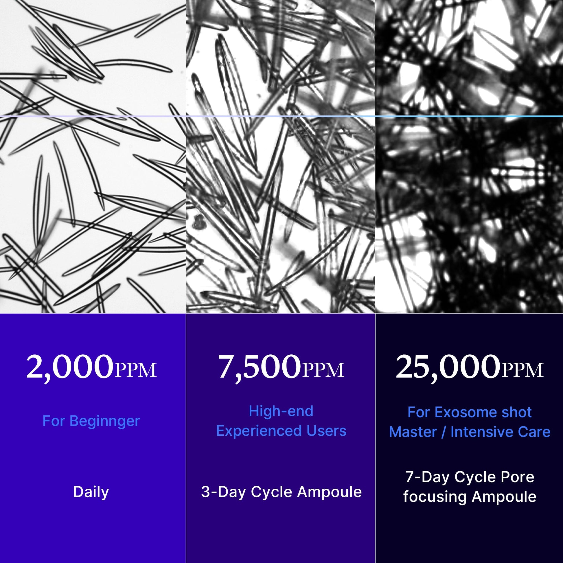zero-exosome-shot-o1 25000_05.jpg