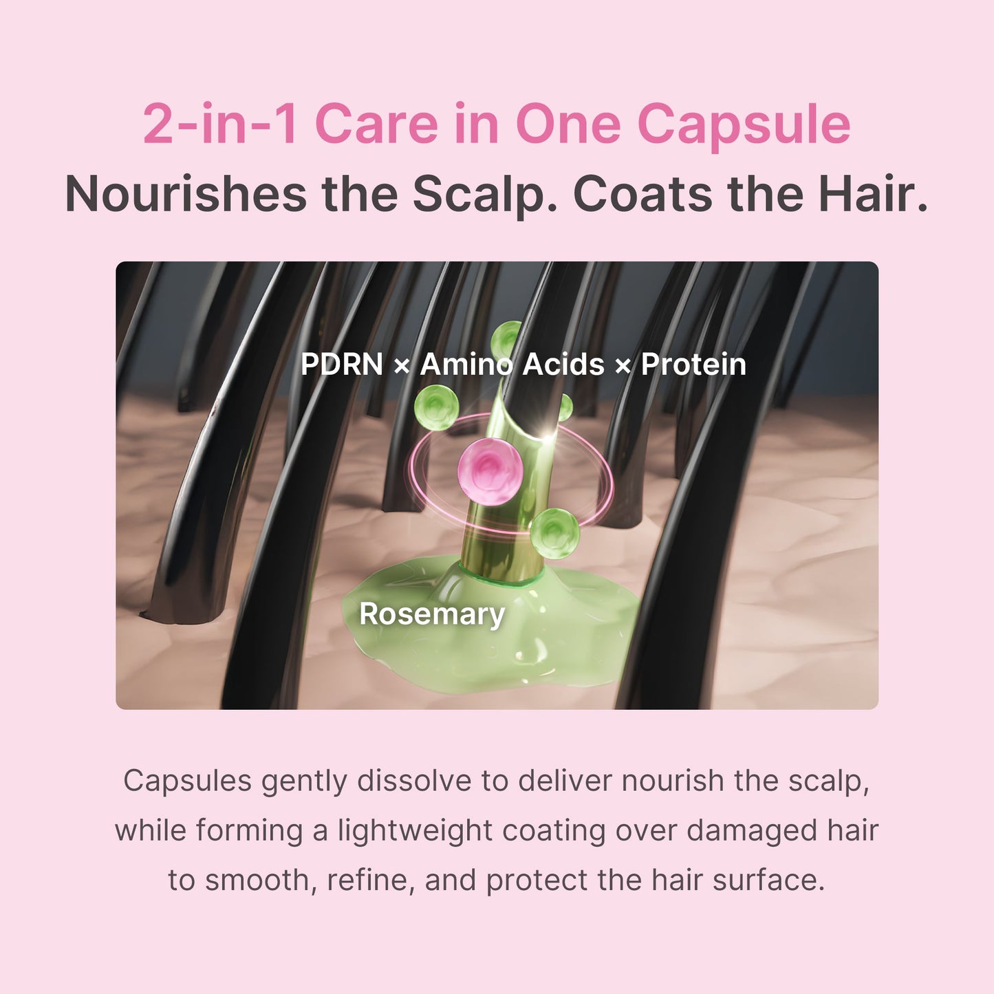 rosemary-pdrn-hair-and-scalp-conditioner-m4 US_ME_RosemaryConditioner_th05.jpg